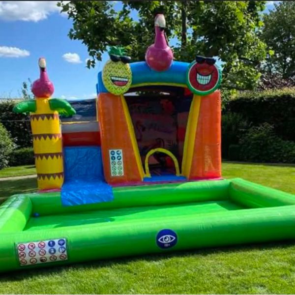 Mini Splash Flamingo met badje